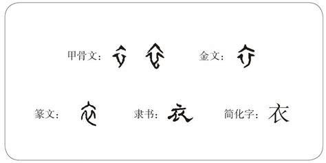 披彩衣意思|什么叫彩衣字？彩衣字形的字有哪些？带有彩衣字根部。